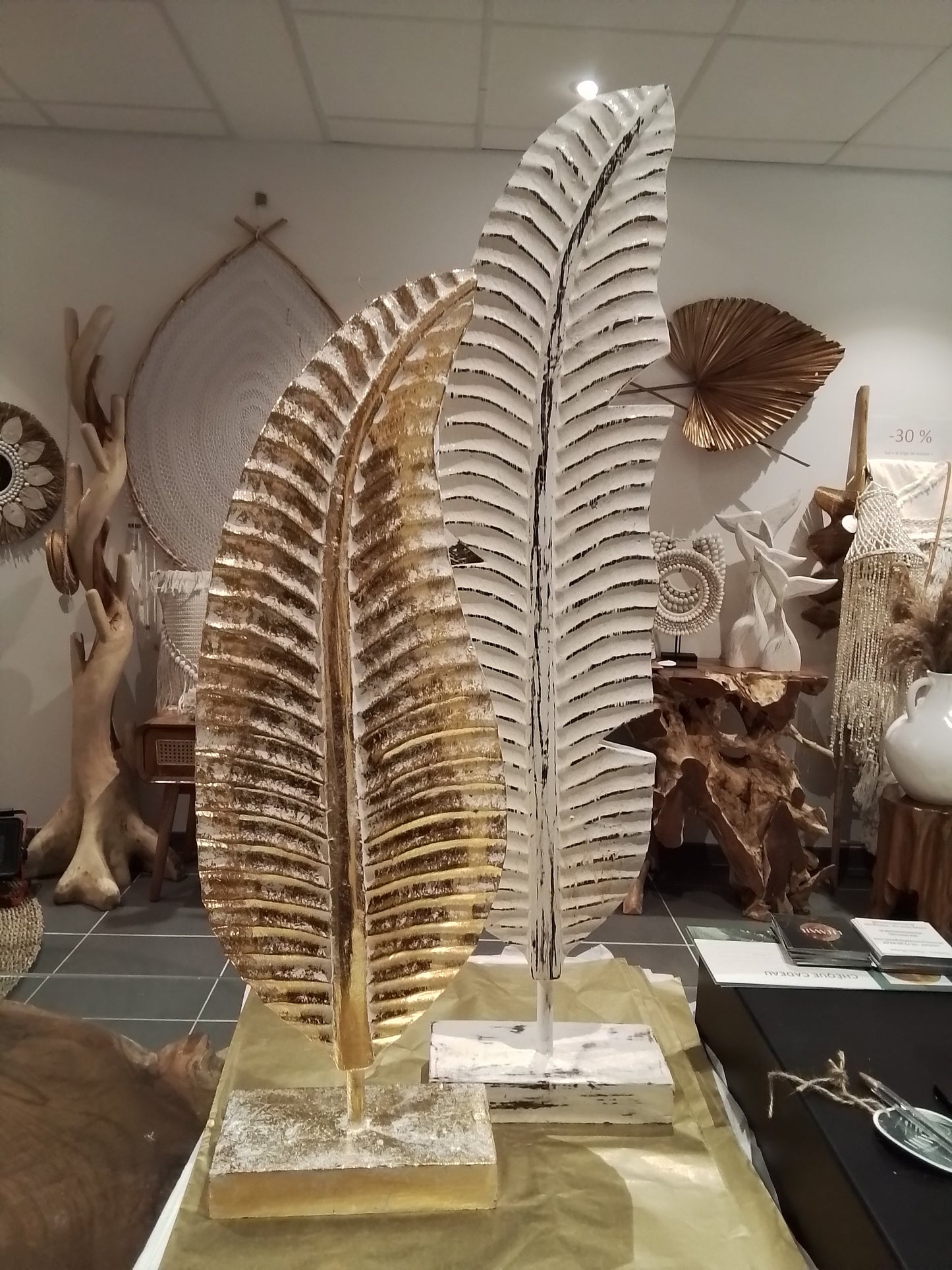 PLUME BOIS