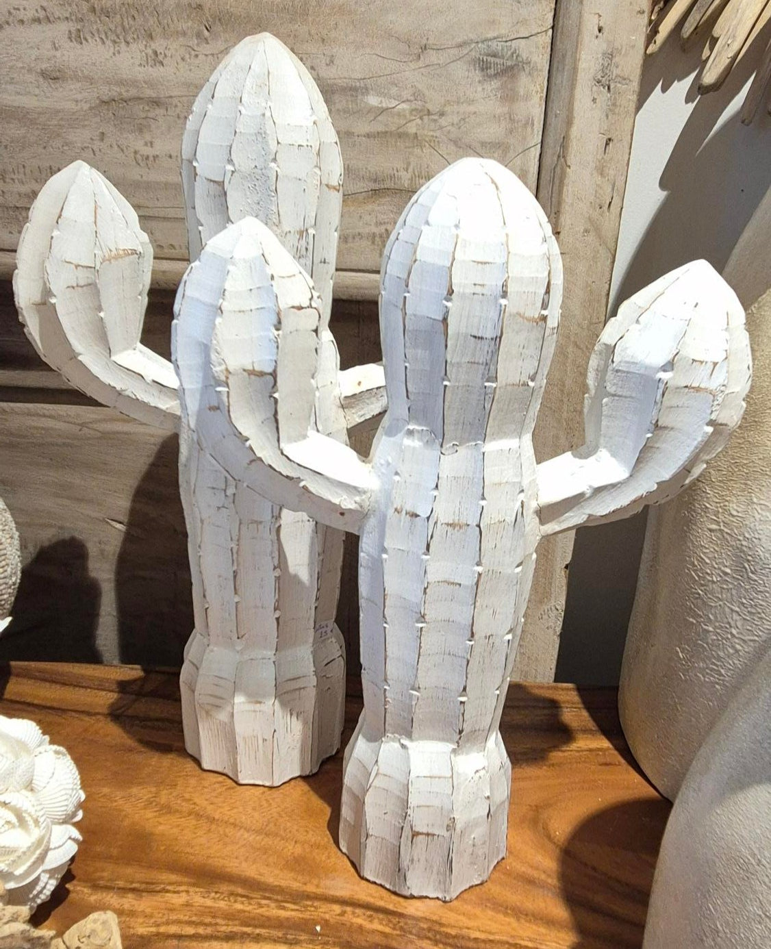 CACTUS BOIS