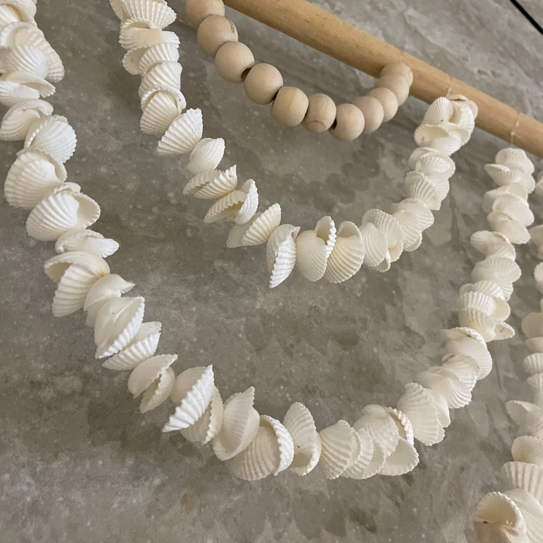 DECO MURAL COQUILLAGE BOIS FLOTTE