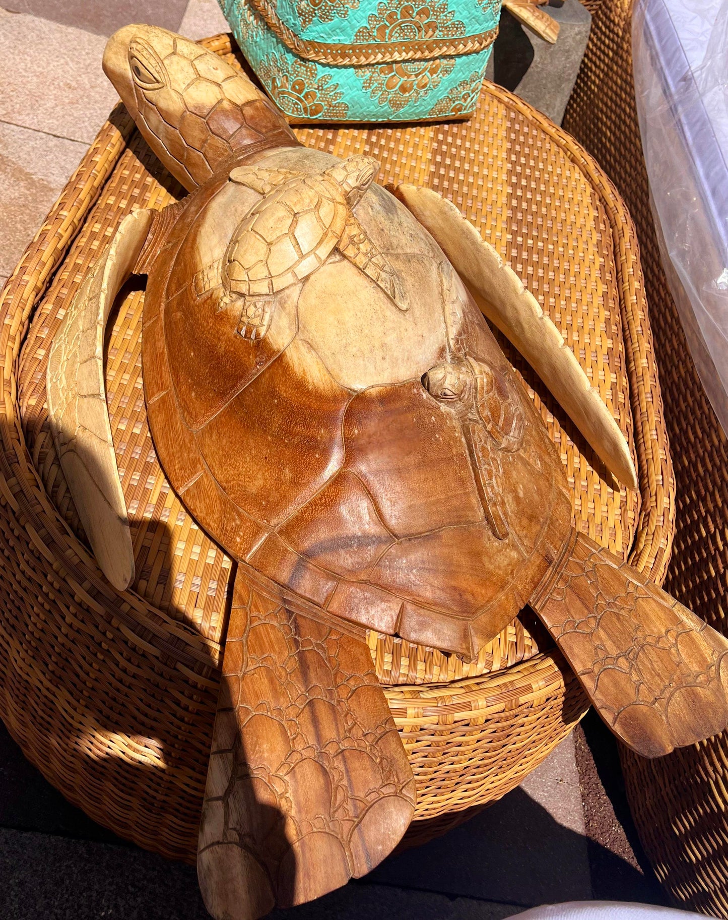 TORTUE AVEC SON PETIT
