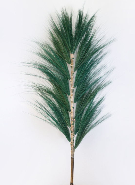 Feuille de Rayung