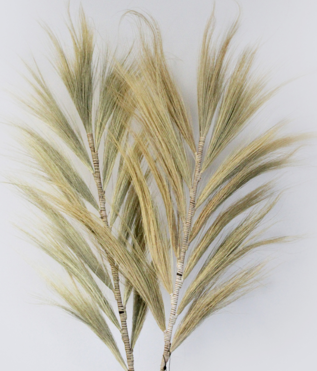 Feuille de Rayung