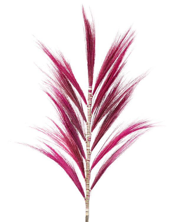 Feuille de Rayung