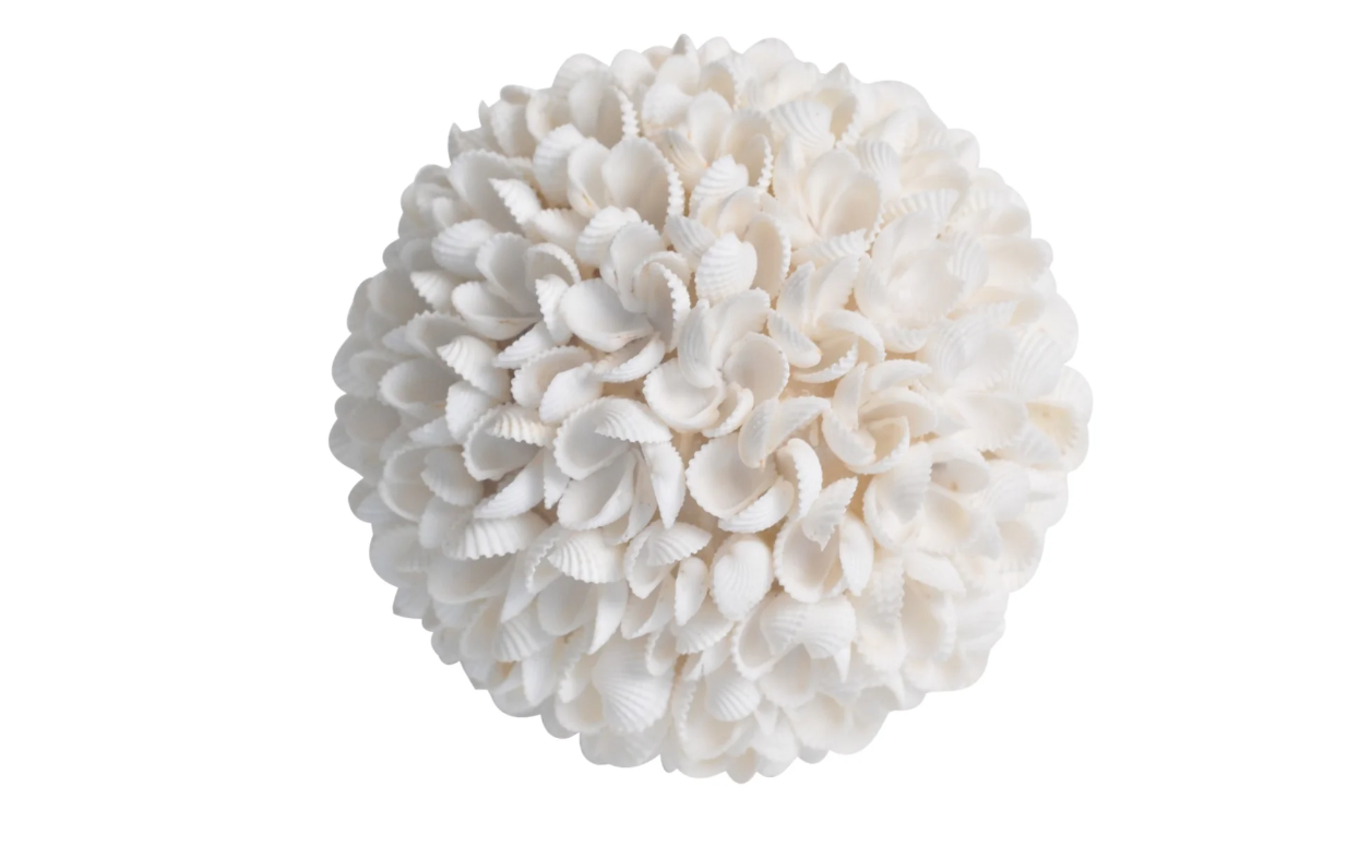BOULE COQUILLAGES