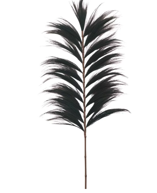 Feuille de Rayung