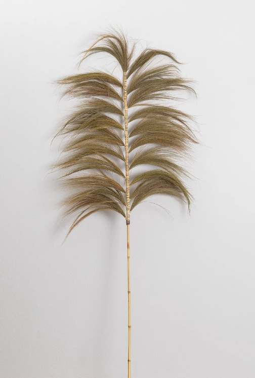 Feuille de Rayung