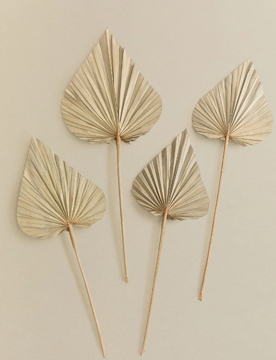 FEUILLES DE PALMIER