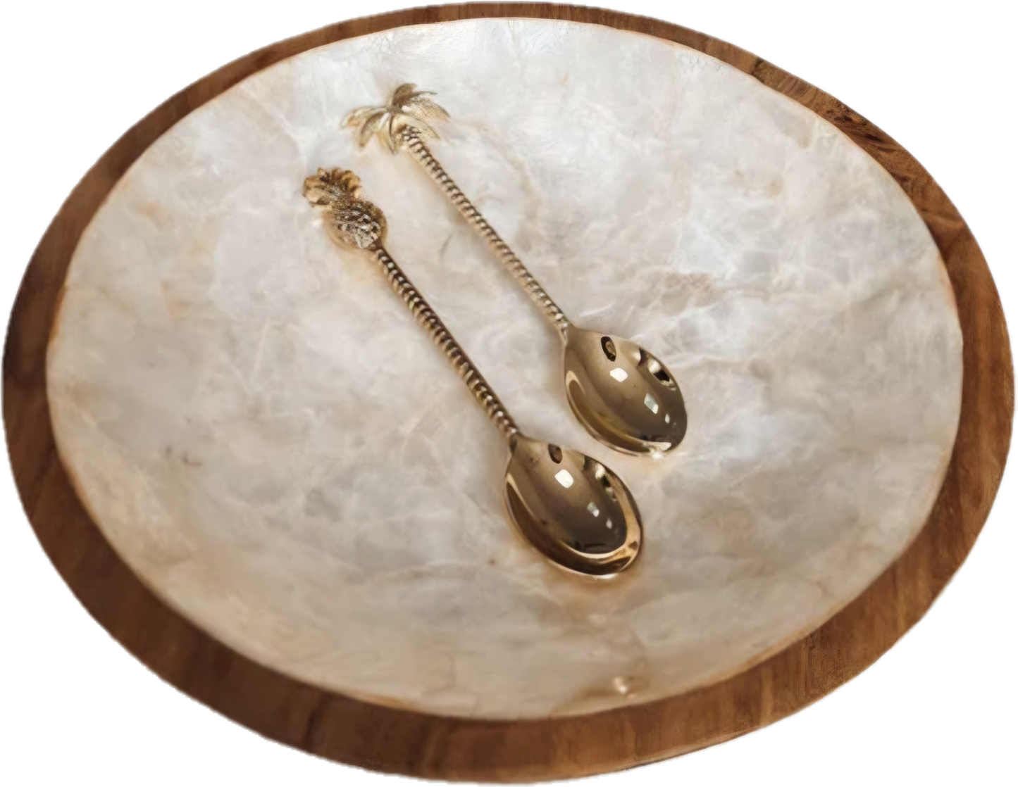 ASSIETTE NACRE TECK