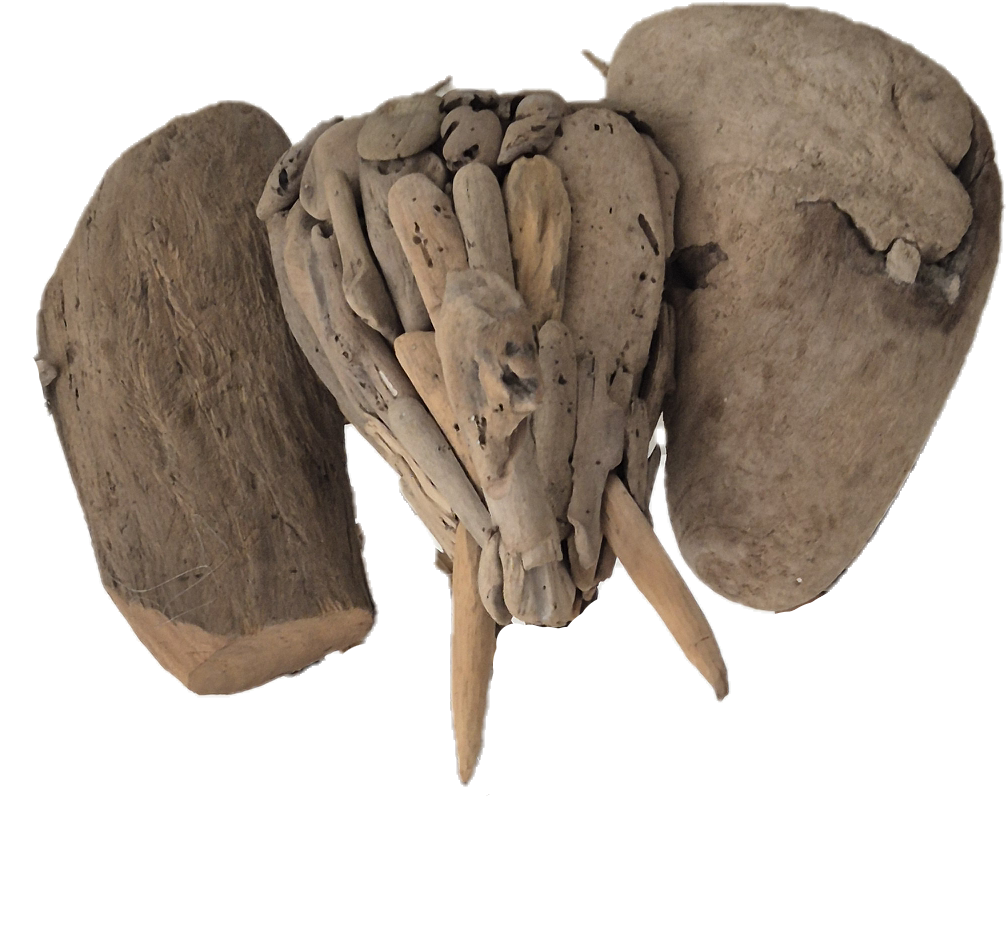TETE ELEPHANT BOIS FLOTTE