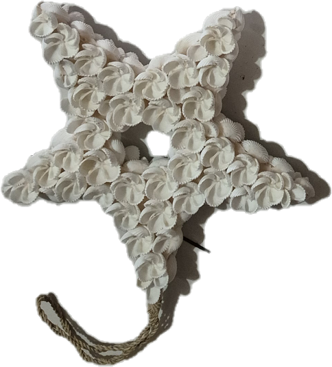 ETOILE COQUILLAGES