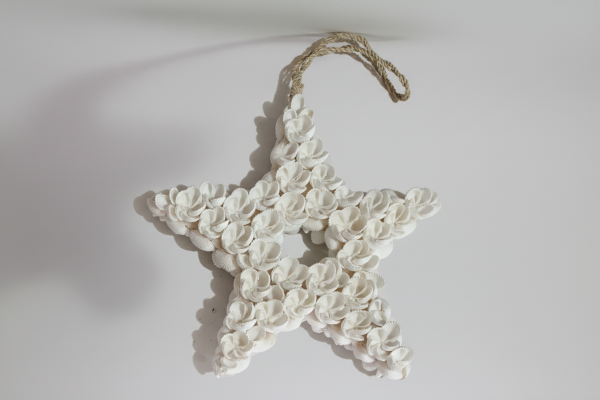 ETOILE COQUILLAGES