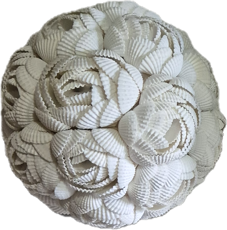 BOULE COQUILLAGES