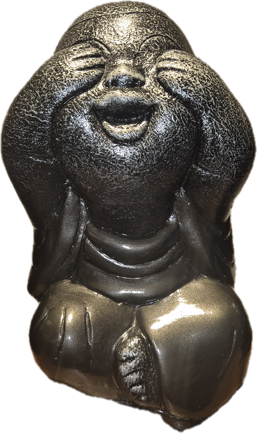 BOUDDHA DE LA SAGESSE