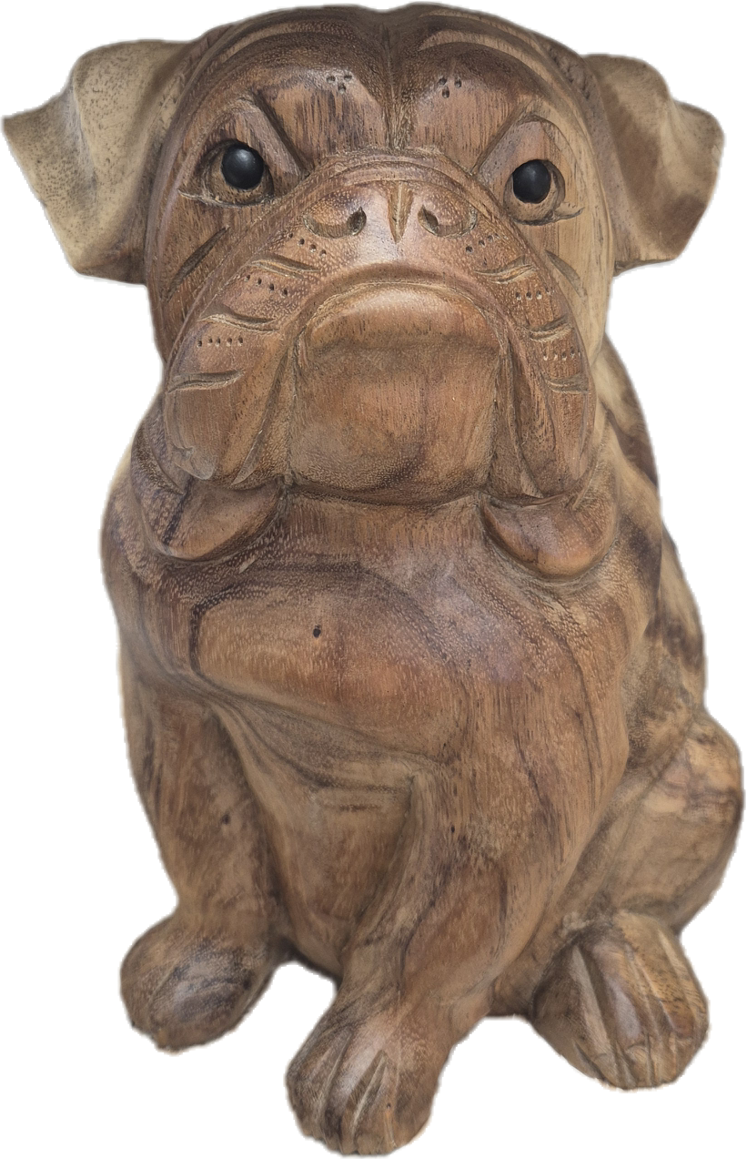 CHIEN BOULEDOGUE TECK