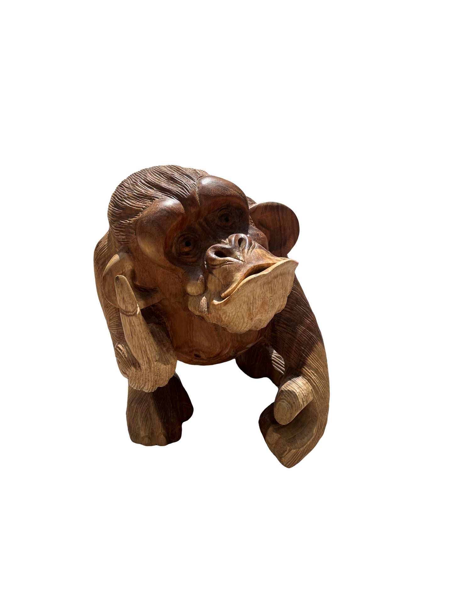 SINGE EN TECK