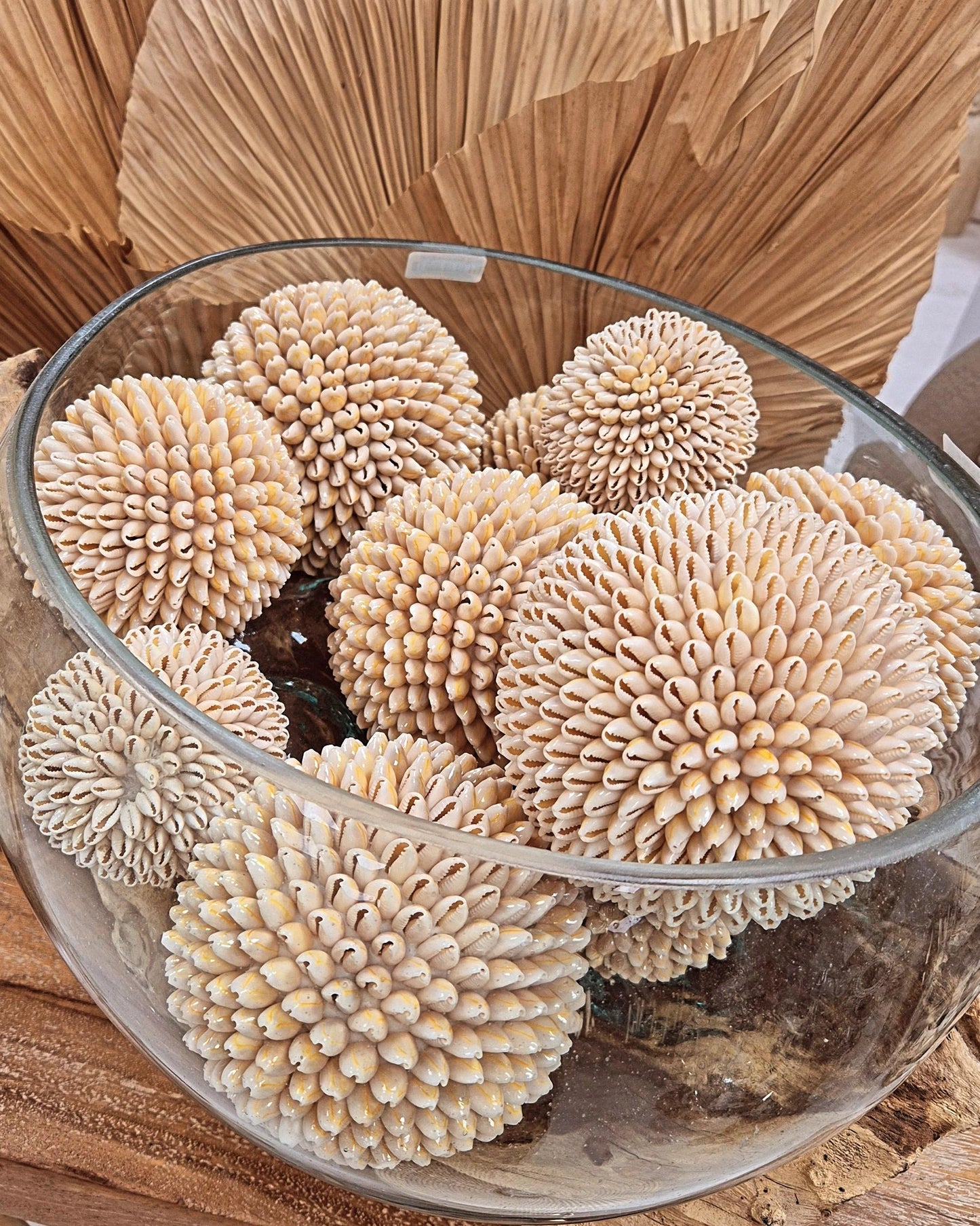 BOULES COQUILLAGES