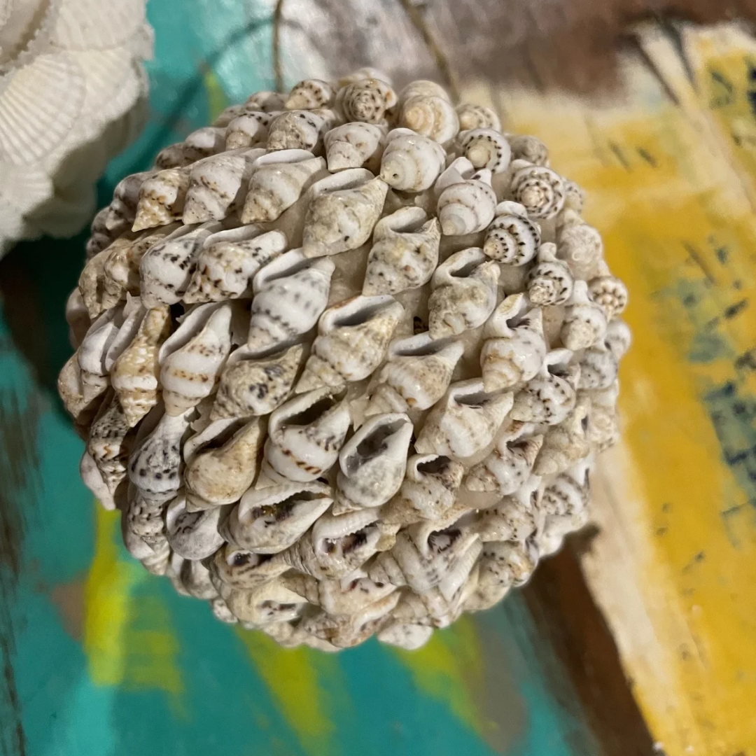 BOULE COQUILLAGE FICELLE