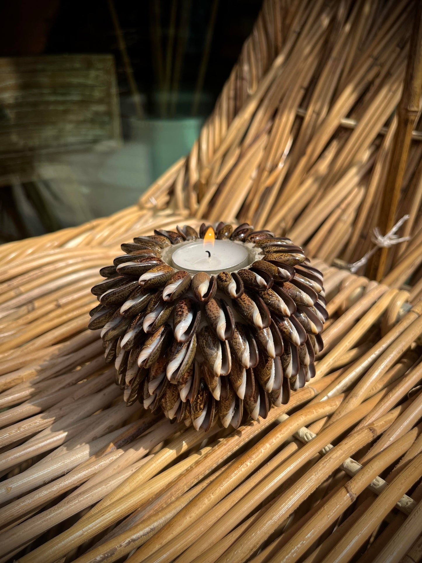 BOUGEOIR coquillages asiatique