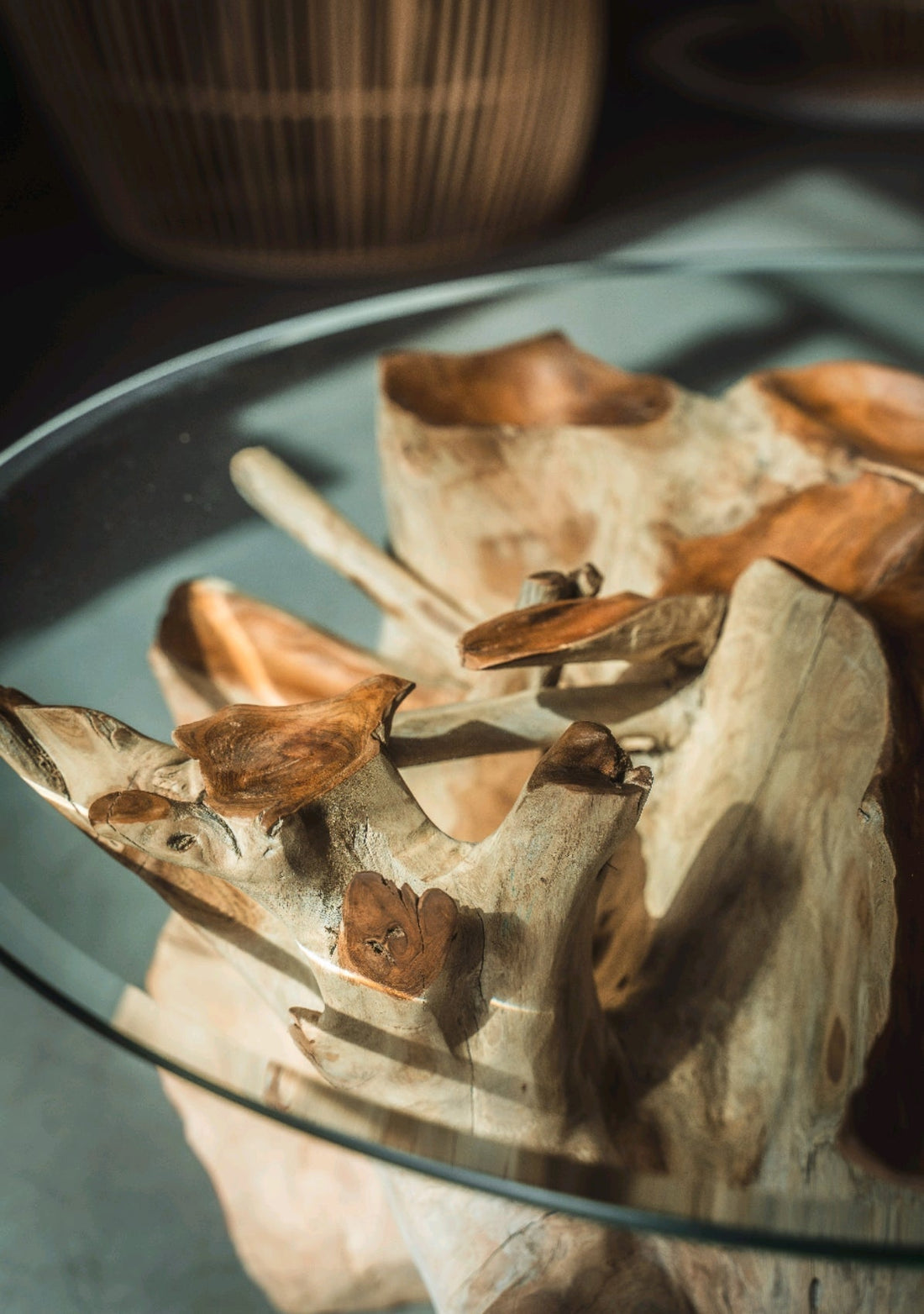 🪵La table basse en racine de Bali : quand l’art rencontre le bois brut