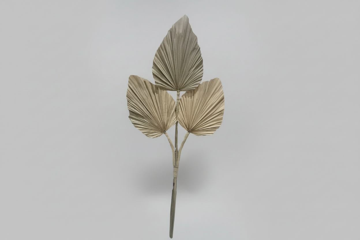 FEUILLE "Palmes Séchées"