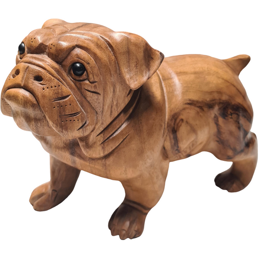 CHIEN BOULEDOGUE TECK