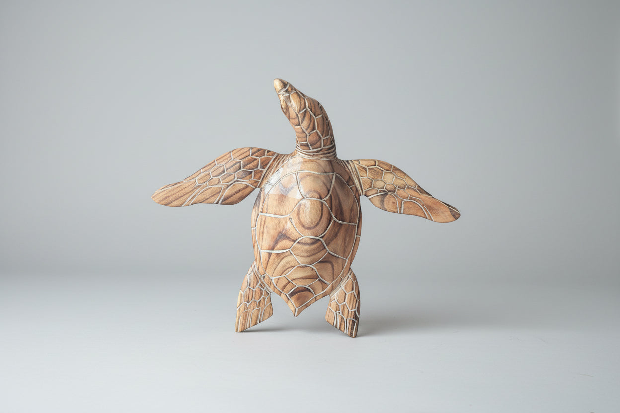 TORTUE