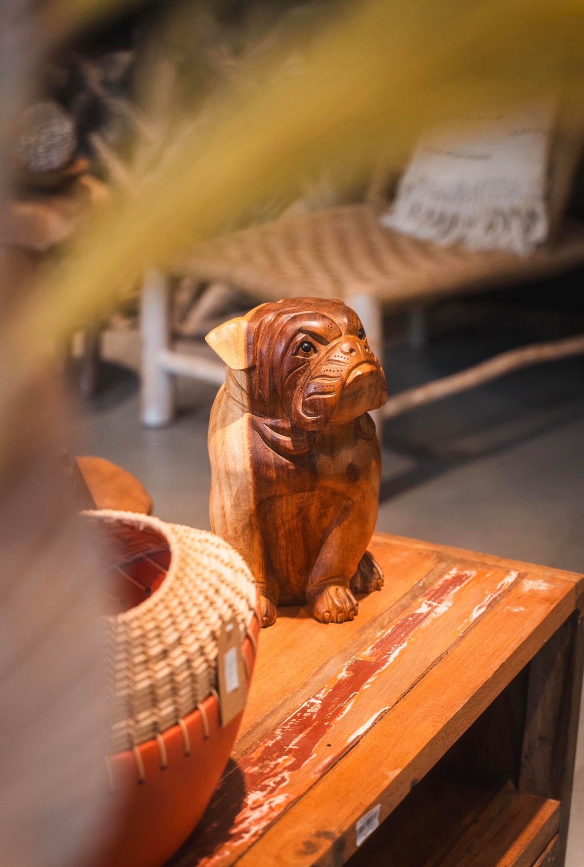 CHIEN BOULEDOGUE TECK