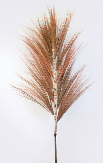 Feuille de Rayung