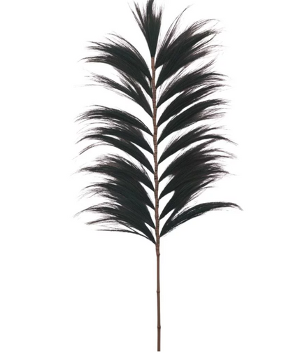 Feuille de Rayung