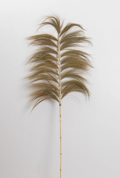 Feuille de Rayung