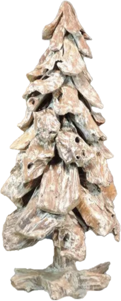 SAPIN TECK BLANCHI
