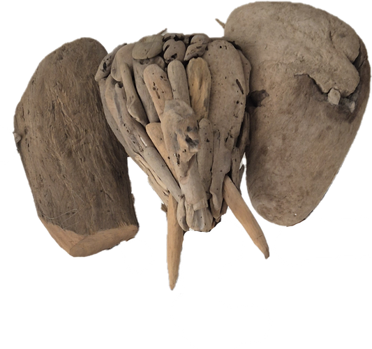 TETE ELEPHANT BOIS FLOTTE