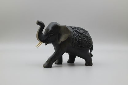 ELEPHANT EN EUCALYPTUS
