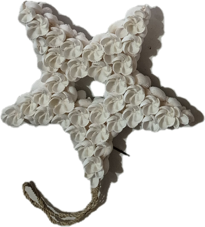 ETOILE COQUILLAGES