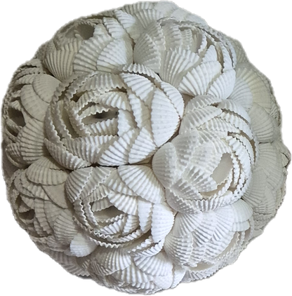 BOULE COQUILLAGES