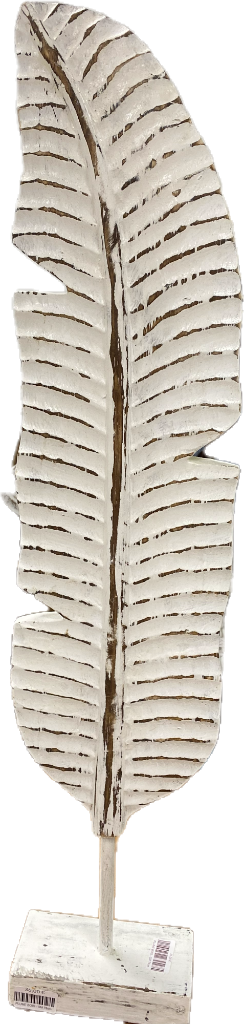 PLUME BOIS