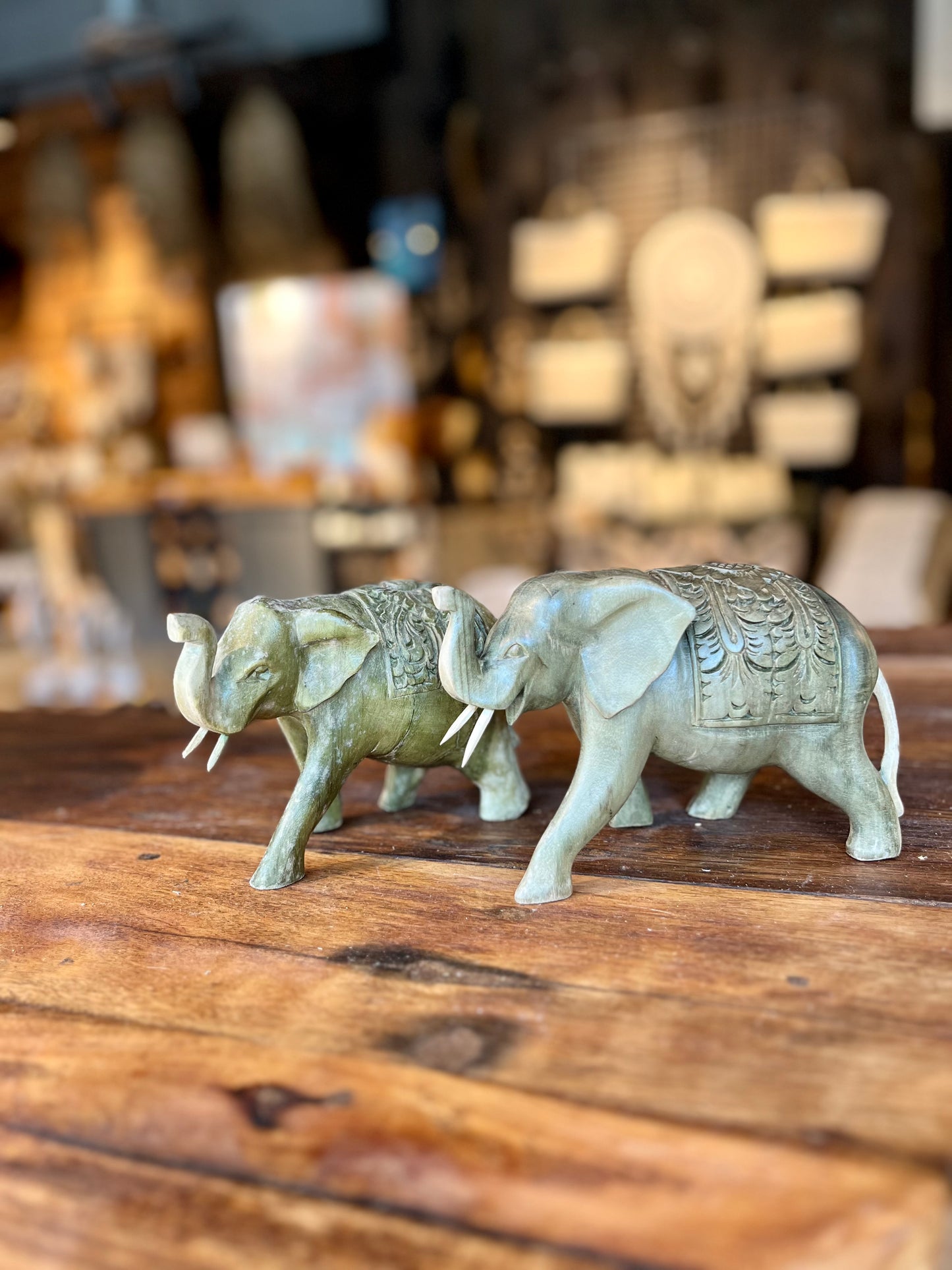 ELEPHANT EN EUCALYPTUS