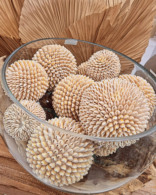 BOULES COQUILLAGES