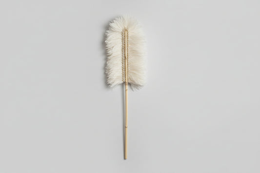 FEUILLE PLUME