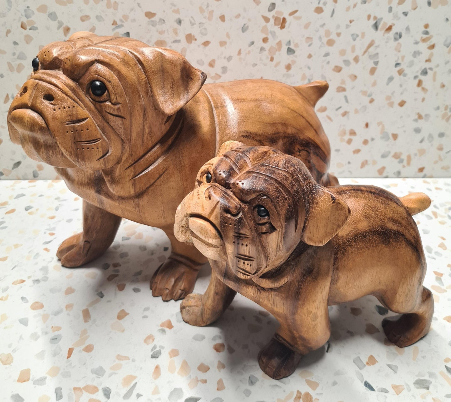 CHIEN BOULEDOGUE TECK