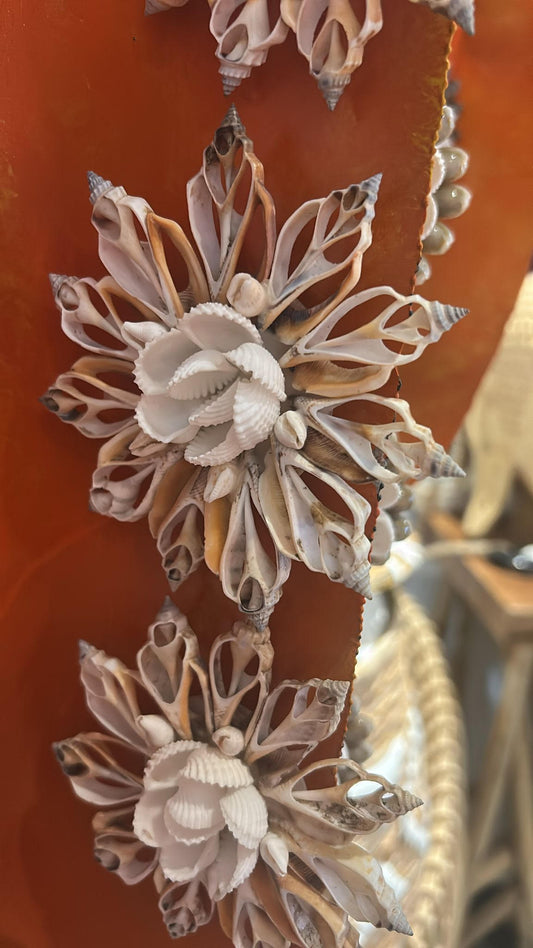 Magnet coquillages étoile