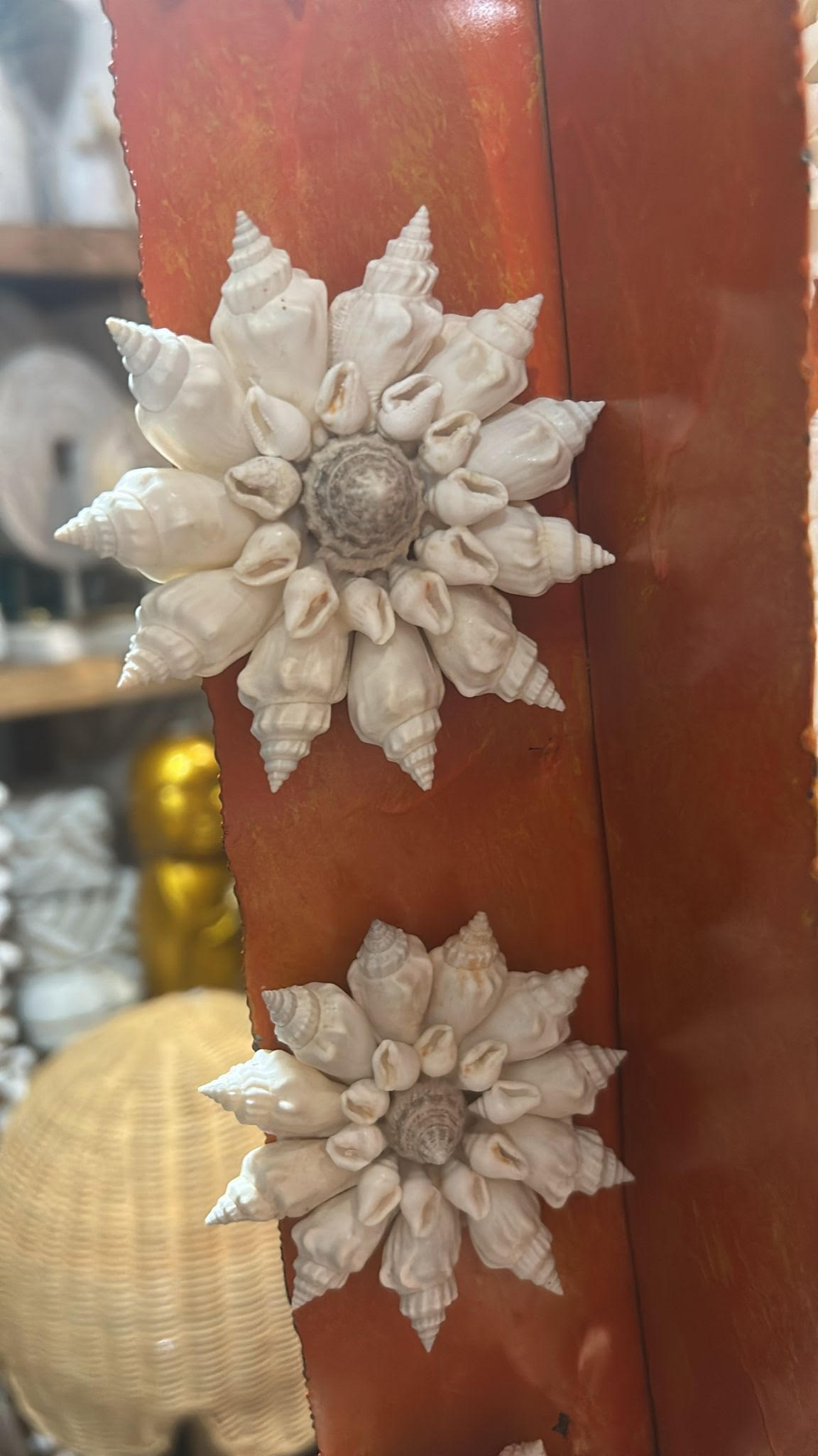 Magnet coquillages