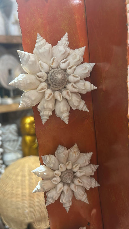 Magnet coquillages